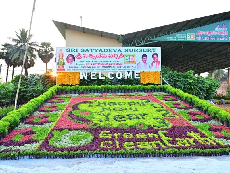 Sri Satya Deva Nursery